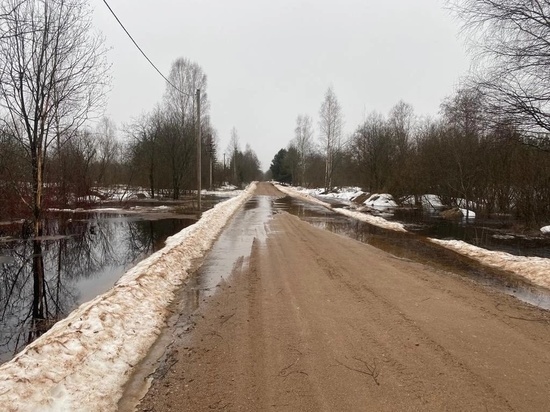 В Новгородском районе ввели режим повышенной готовности из-за паводков