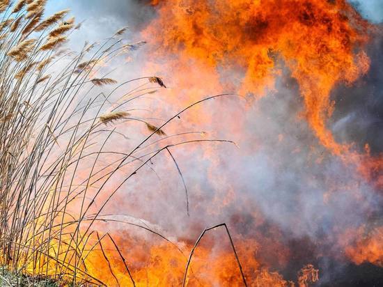 С начала 2023 года в Астраханской области потушили 1367 пожаров