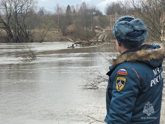 В Тульской области остаются затопленными 14 мостов