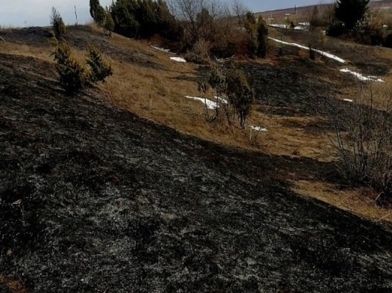 В Удмуртии произошло первое за сезон возгорание сухой травы