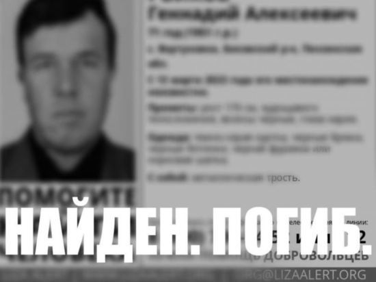 Пензенские волонтеры сообщили о гибели пропавшего мужчины
