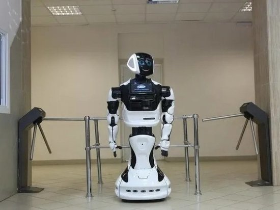 В гостиницу под Ковровом трудоустроили робота