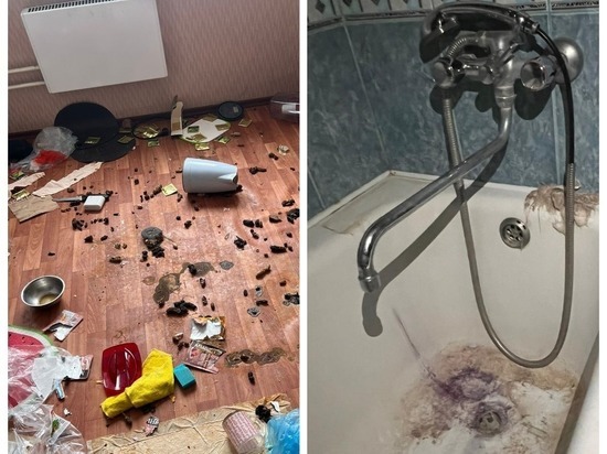 В Новосибирске девушка устроила погром в съёмной квартире