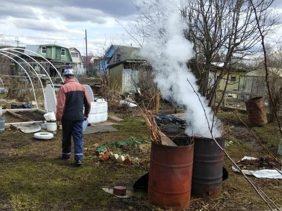Ярославское Управление МЧС напомнило ярославцам, как правильно жечь мусор