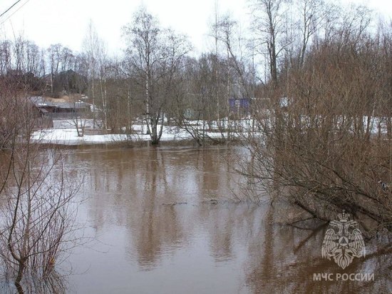 В Новгородской области затоплено 129 участков
