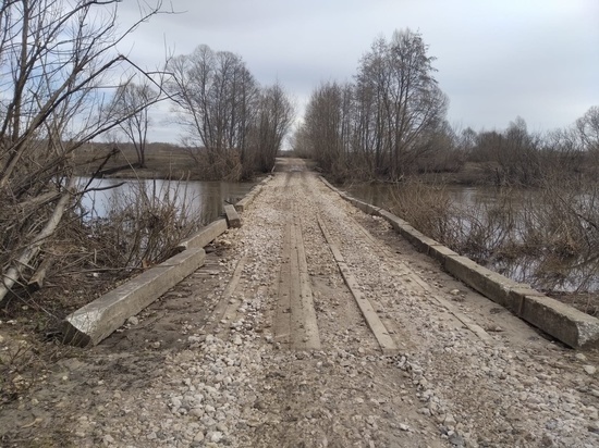 3 апреля в Сапожковском районе Рязанской области мост освободился от воды