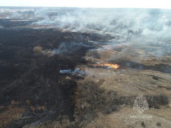 В Пензенской области бушуют пожары от возгораний сухой травы