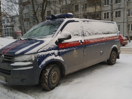 Следователи Сокола устанавливают обстоятельства гибели 10-месячной девочки