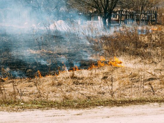 В Липецкой области введут пожароопасный сезон
