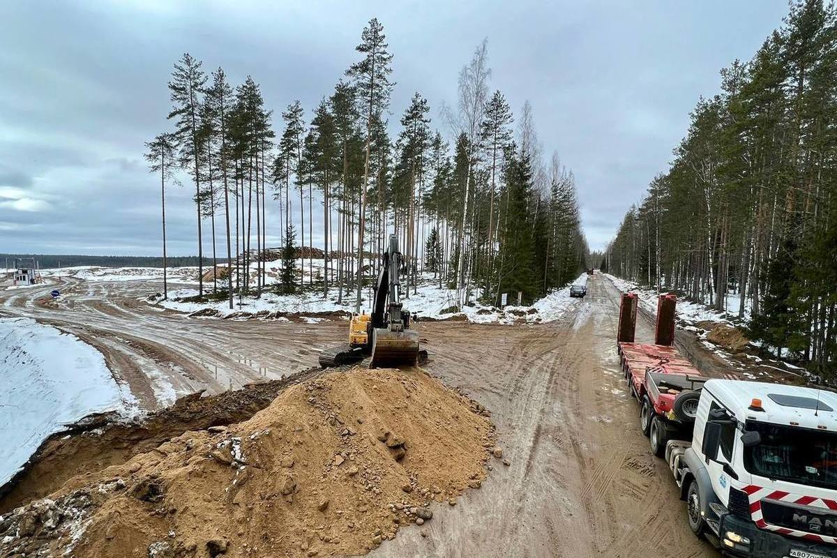 Поселила у себя нелегалов