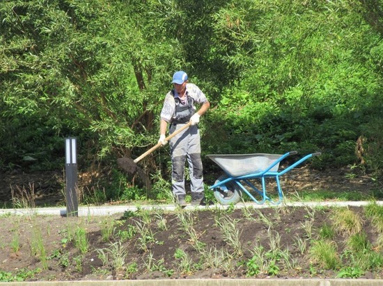 До 30 апреля в Свердловской области должны пройти субботники