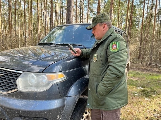 Жителей Подмосковья попросили не нервировать лесных животных и птиц