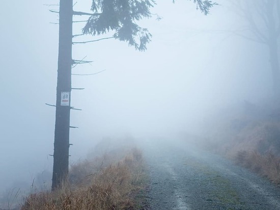 МЧС ДНР предупреждает жителей региона о сильном тумане