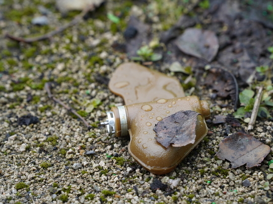 Дончанка ранена в результате подрыва на мине-лепестке