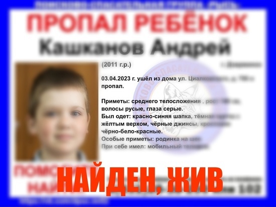 Нижегородские поисковики озвучили судьбу пропавшего мальчика