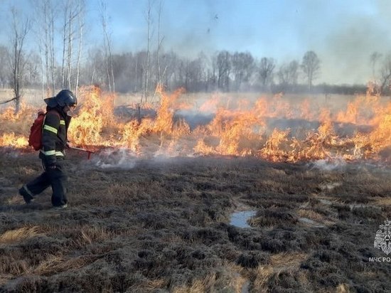 Особый противопожарный режим ввели в Хабаровске