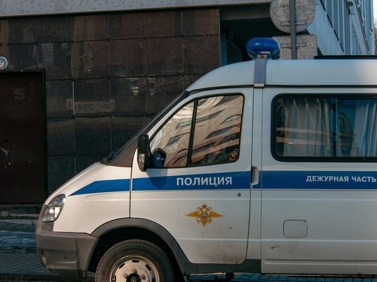 SHOT: у пенсионера из Канады украли в Москве полмиллиона рублей и антикварную вазу