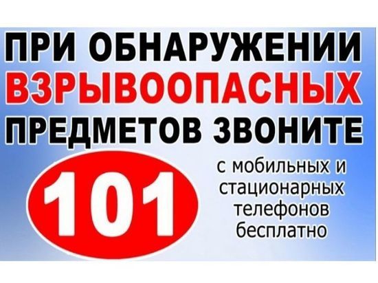 В Вязьме обезвредили 50-ти килограммовую авиабомбу
