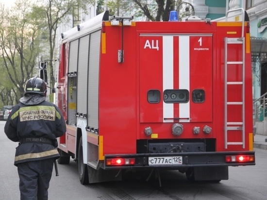 Пожарные потушили вспыхнувший экскаватор в Приморье