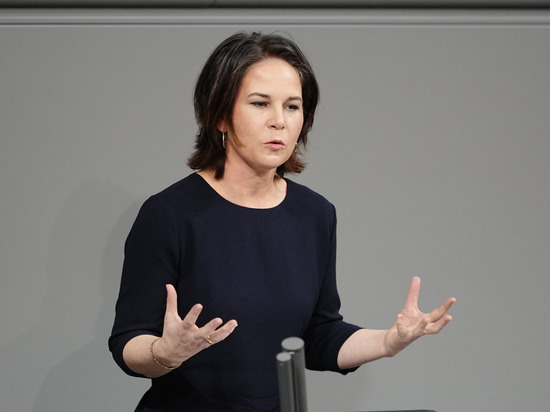 Читатели Welt осудили слова Бербок о вступлении Финляндии в НАТО из-за России