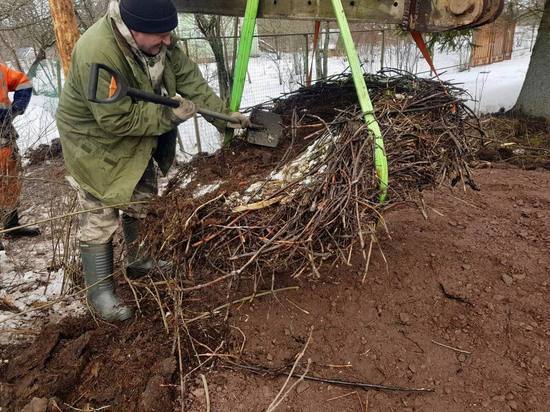 Дорожники показали, как в Сорочкино переносили гнездо аистов весом 100 кг из-за ремонта дороги
