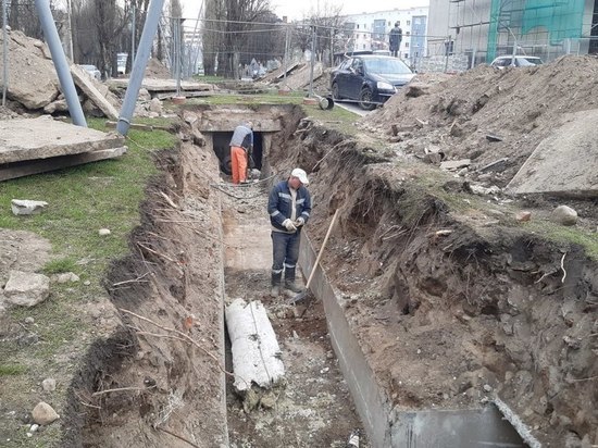 В администрации Калининграда рассказали, как продвигается ремонт на Тополиной аллее