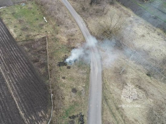 В Курской области за сутки за сжигание травы и мусора составили 13 протоколов