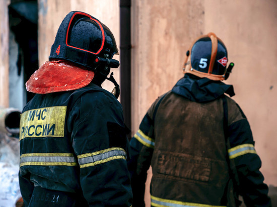 Фрагменты тела человека нашли в сгоревшем заброшенном доме в Тверской области