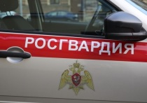 В МВД России решили увеличить численность антинаркотического спецназа «Гром» до 6,2 тысяч человек
