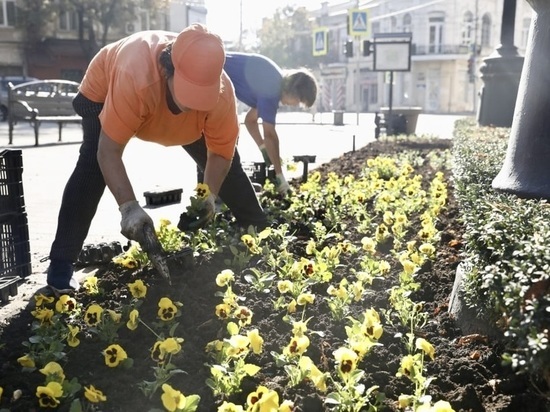 На клумбах Краснодара весной высадят свыше 350 000 цветов
