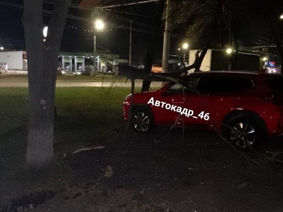 В Курске на Энергетиков обрушившееся дерево повредило два автомобиля