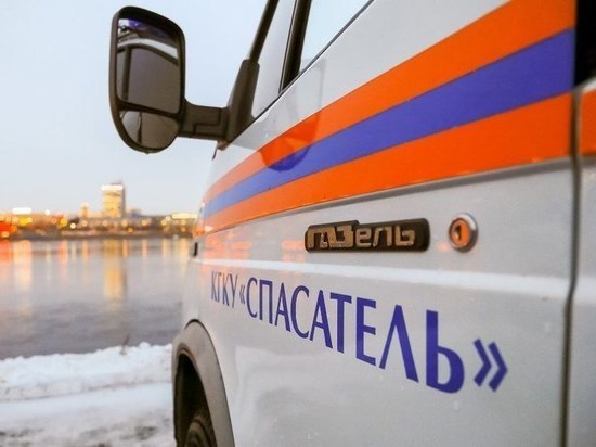 Владимир Путин удостоил красноярских спасателей государственных наград