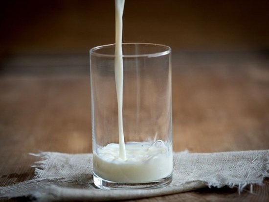 На грани вырезания: алтайские производители назвали причины обрушения цен на молоко