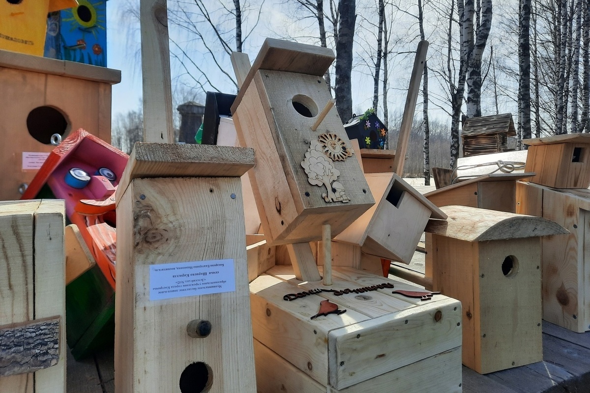 В Костромском музее деревянного зодчества появится «Птичий квартал»