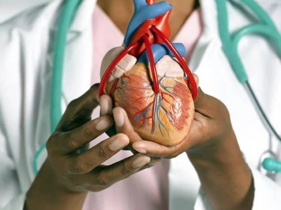 Вредный ЗОЖ: какие псевдо-полезные привычки приводят к сердечно-сосудистым заболеваниям
