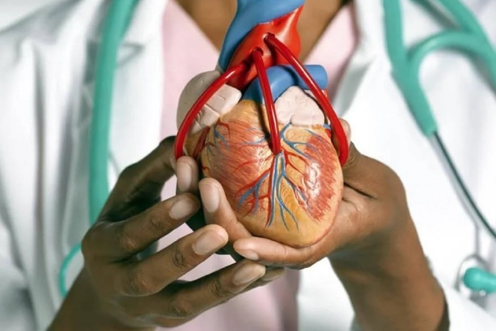 Вредный ЗОЖ: какие псевдо-полезные привычки приводят к сердечно-сосудистым заболеваниям