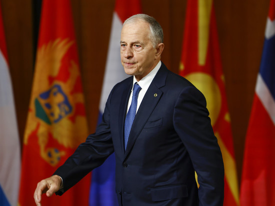 В НАТО считают, что Швеция скоро присоединится к альянсу