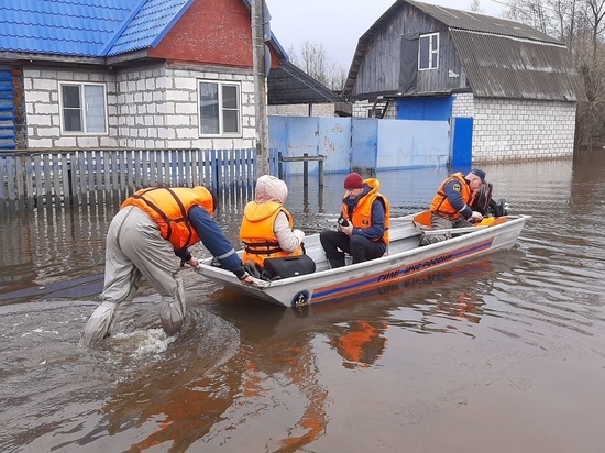 МЧС: Десна в брянском Трубчевске поднимется до опасного уровня