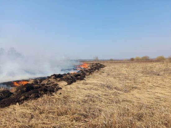 В Омской области отказались от выжигания сухой травы весной