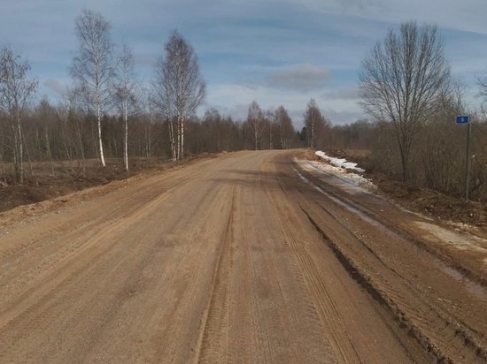 В двух муниципалитетах Новгородской области ушла вода с приусадебных участков и дорог