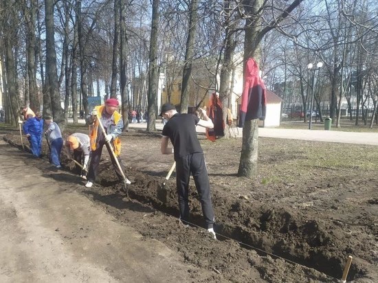 Мэр Сорокина поручила высадить зелёную изгородь в Кремлёвском сквере Рязани