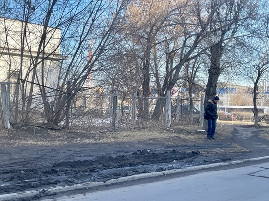 Депутат нашел в Красноярске «пешеходный переход для ежиков»