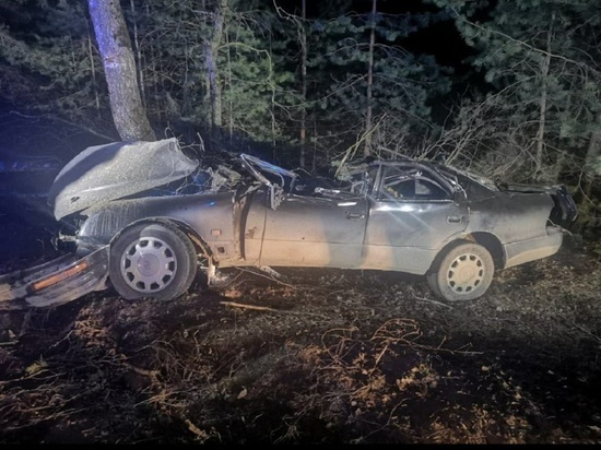 В Калужской области водитель скончался в вылетевшем в кювет Lexus
