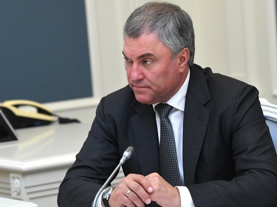 Спикер Володин спросил подписчиков, нужно ли отрезать от доходов тех, кто оскорбляет Россию