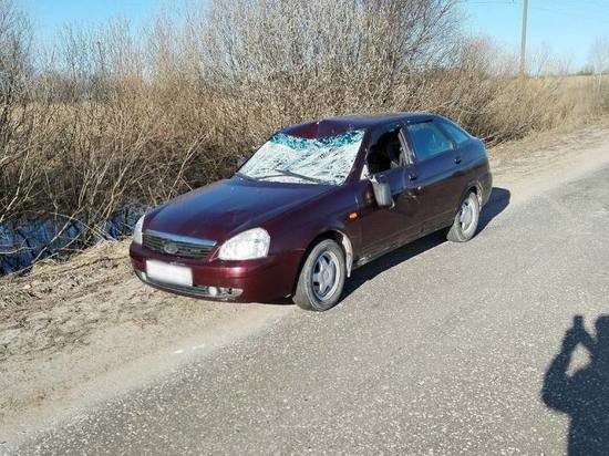 В Касимовском районе водитель Lada насмерть сбил лося