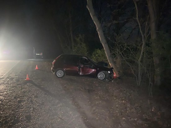 Житель Ставрополья не справился с управлением и на большой скорости врезался в дерево