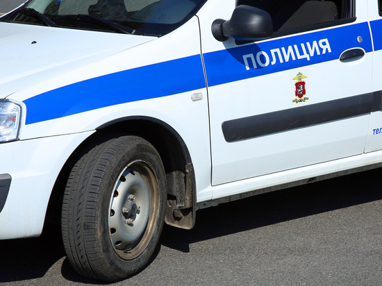 В Павловском Посаде водитель насмерть сбил школьницу на пешеходном переходе