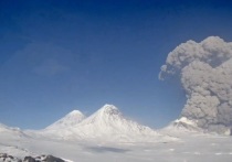 Камчатская группа реагирования сообщила о мощном выбросе пепла, произошедшем 7 апреля на вулкане Безымянный
