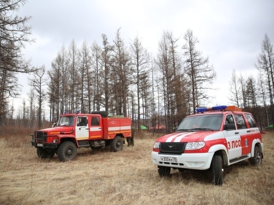 Часть лесов запретили посещать в Забайкалье с 7 апреля