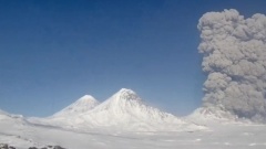 Вулкан Безымянный выбросил струю пепла на 12 км: кадры явления